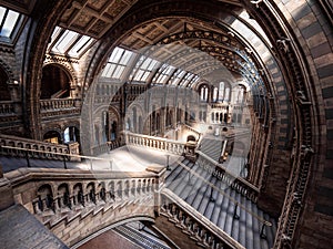 Natural History Museum