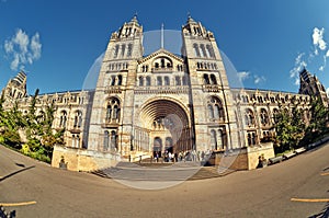 Natural History Museum, London.