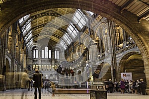 The Natural History Museum, London