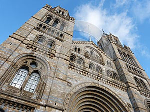 Natural history museum in London