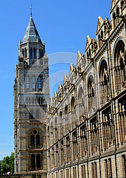 The Natural History Museum in London