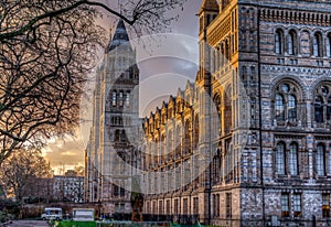 Natural History Museum London