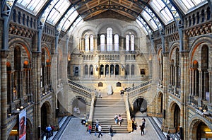 Natural History Museum, London