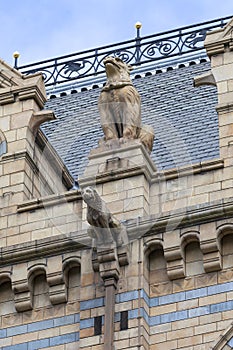 Natural History Museum with ornate terracotta facade, Victorian style, London, United Kingdom