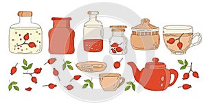 Natural home treatment elements set. Collection of vector illustrations drawn by hand for design. Rose hips, cups of tea, teapot.