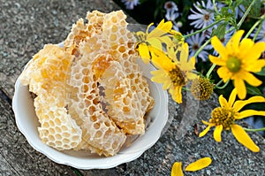 Natural honey in comb