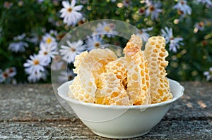 Natural honey in comb