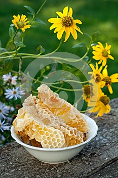 Natural honey in comb