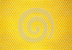 Natural honey comb background or texture