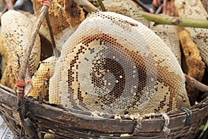 Natural honeycomb in fresh market