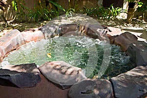 Natural Hot Spring Jaccuzi, Malaysia