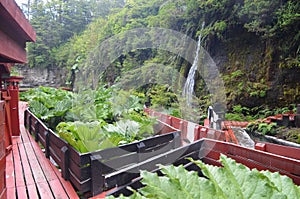 Natural hot springs of Termas Geometricas, Panguipulli, Los RÃÂ­os Region, Chile photo