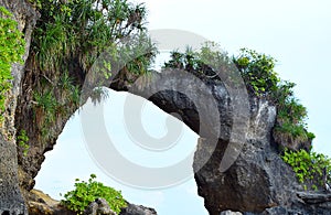 Natural Howrah Coral Bridge with Hill and Greenery, Laxmanpur Beach, Neil Island, Andaman, India