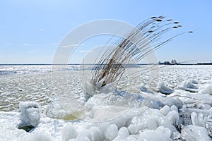 Natural ice sculpture at the water coast