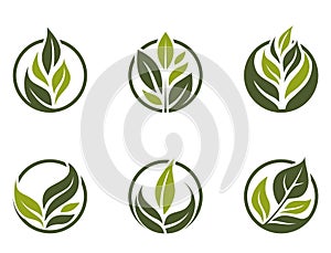 natural icon set. green plant in a circle. organic, eco friendly and bio symbols. isolated vector images