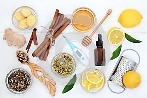 Natural Ingredients for Cold and Flu Remedy