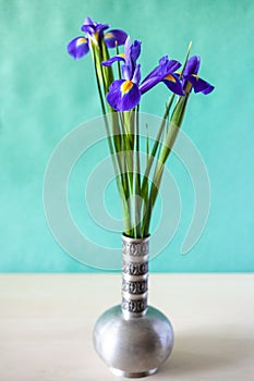 Natural iris flowers in old pewter vase on table