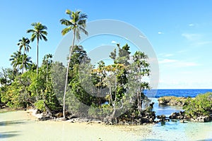 Natural island with tropical trees on Tanjung Saruri or Batu Pica on coast of Biak Island