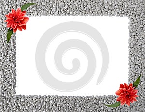 Natural isolated frame of grey pebbles with Dahlia flowers in corners,copy space