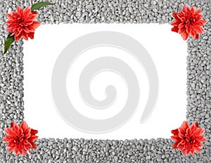 Natural isolated frame of grey pebbles with orange flowers of Royal Dahlia in corners,one with green leaves,copy space