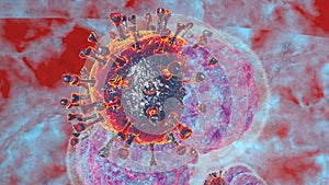 Natural killer body cell immune respone corona virus cell