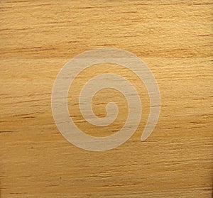 Natural Knotty pine wood texture background. Knotty pine veneer surface for interior and exterior manufacturers use photo