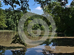 Natural lake Annasee located near Beilstein in Germany, a nature protected area, in summer with green trees.
