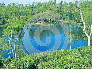 Natural lake surroundings by hill and Tea Garden at sylhet