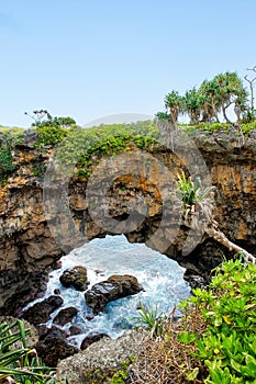 Natural land bridge Hufangalupe on the southern part of Tongatapu island in Tonga photo