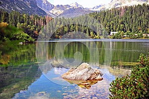 Přírodní krajina s alpským jezerem a lesem