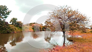 Nature - This photograph shows landscape Beauty of Nature and colour combination.