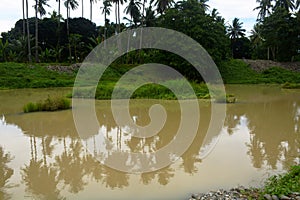 Natural Landscape in Bulatukan river, New Clarin, Bansalan, Davao del Sur, Philippines. photo