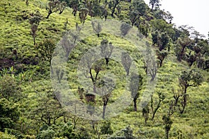 Natural Landscape, Burma