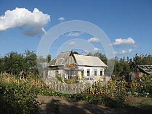 The natural landscape and clouds. Summer. The sun in his eyes. Ukrainian landscape