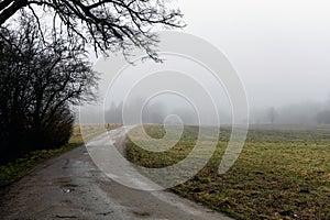 Natural landscape of a foggy morning in the countryside.