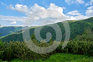 Natural landscape in the foothills of the High Tatras in the north of Slovakia in early summer with wide valleys and green meadows