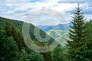 Natural landscape in the foothills of the High Tatras in the north of Slovakia in early summer with wide valleys and green meadows