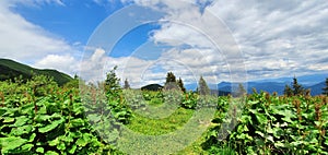 Natural landscape in the foothills of the High Tatras in the north of Slovakia in early summer with wide valleys and green meadows