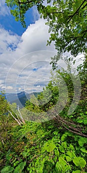 Prírodná krajina na úpätí vysokých tatier na severe Slovenska začiatkom leta so širokými dolinami a zelenými lúkami