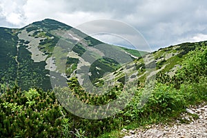 Natural landscape in the foothills of the High Tatras in the north of Slovakia in early summer with wide valleys and green meadows