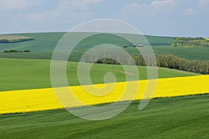 Natural landscape with green and yellow fields under blue sky