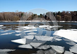 Natural landscape with ice drift on the spring river and forest trees on opposite bank under cloudless blue sky