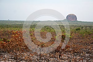 Natural landscape of the Jalapao State Park in the state of Tocantins, Brazil