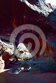 Natural landscape of limestone and sandstone rock formations inside a national parks in utah and arizona in north america