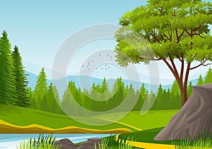 Natural landscape with mountains, coniferous forest, pine trees and a river meandering. Illustration.