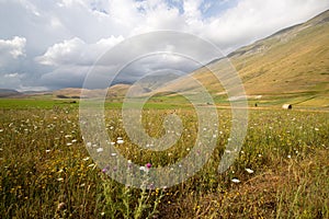 Natural landscape of the plain of Castelluccio di Norcia. Apennines, Umbria, Italy