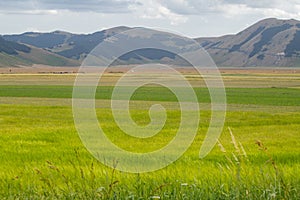 Natural landscape of the plain of Castelluccio di Norcia. Apennines, Umbria, Italy