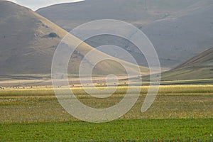 Natural landscape of the plain of Castelluccio di Norcia. Apennines, Umbria, Italy