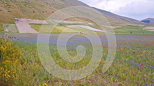 Natural landscape of the plain of Castelluccio di Norcia. Apennines, Umbria, Italy