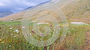 Natural landscape of the plain of Castelluccio di Norcia. Apennines, Umbria, Italy